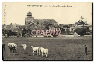 Pont-l'Évêque (Calvados) — Vue prise de l'Herbage des Hunières — Éditeur : E. Charbar, Pont-l'Évêque