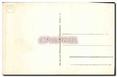 Katedra w Laon — Chimery (bułki) — ND — Rewers