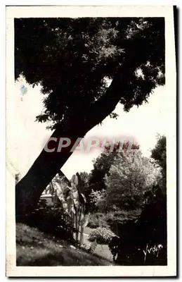 Um lindo canto do Parque dos Calestins — Vichy (Allier) — editor não visível