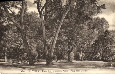 Vichy — Nos Novos Parques — Salicórios Gigantes