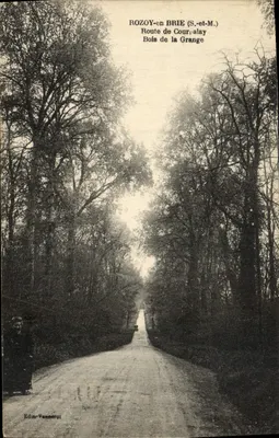 ROZOY-en BRIE (S.-et-M.) — Rua de Cour-alay, Bosque da Grange — Edição Vannerot