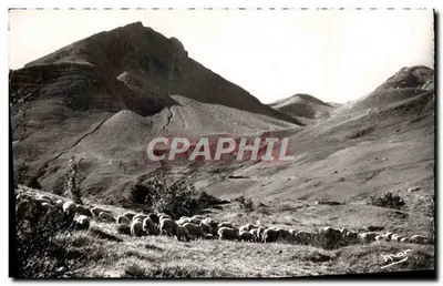 कॉल ड'अलोस (बी.ए.) 2250 मीटर — चरागाह — एडिशन्स « मैई » बुलेवार्ड डी गिमेरेज़, निस