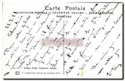 Tulipany — kolorowy bukiet — P. J. Gallais & Cie, wydawcy, n° 192 — Rewers