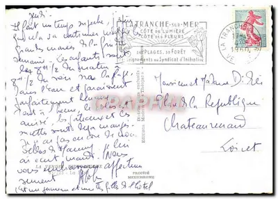 Crianças brincando com uma bola em uma floresta de pinheiros — Edições IRIS, n° 87/123 — Verso