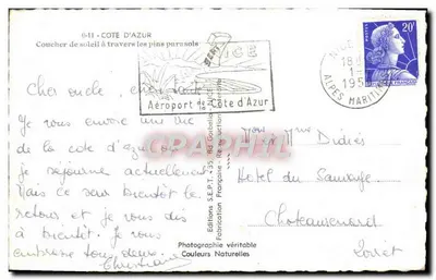 Zachód słońca przez sosny kiprynowe — Côte d'Azur — Wydawnictwo S.E.P.T. - Reprodukcja — Rewers