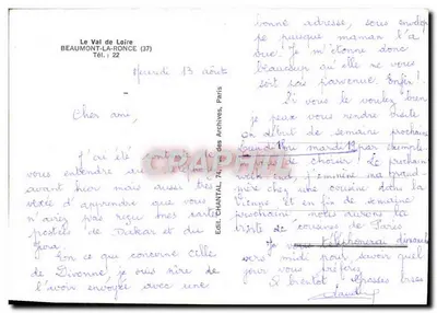 Castello coperto di edera — giardino con ombrelli — Beaumont-la-Ronce (37) — Verso