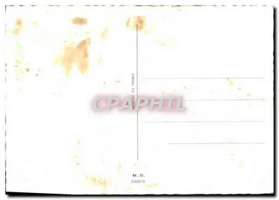 लाल टूलिप — जन्मदिन के शुभेच्छा — M.D. पेरिस — पीछे