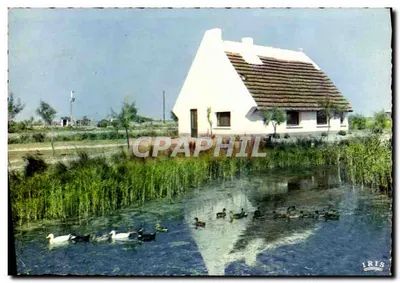 गार्डियन की छोटी घर — कैमार्ग — संपादक आई.आर.आई.एस.