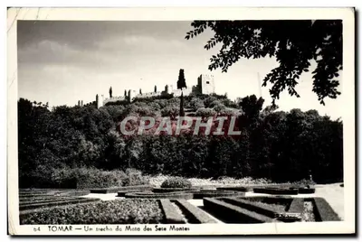 Bilhete postal moderno Um Trecho Da Mata Dos Sete Montes