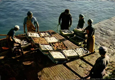 Desembarque de peixes — La Turballe — Edições de Arte Iris, Le Doaré