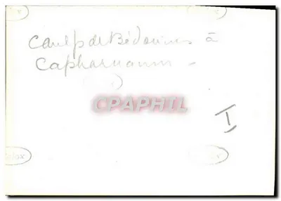Camp Bieduwinów w Kafarnaim — wydawca 'Telox' i numer seryjny 'I' — Rewers