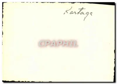 Donna berbera — Cartolina d'epoca — Verso