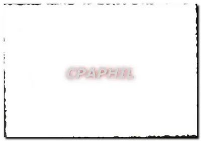 Grupa przed katedrą — samochód z okresu — nr 7 — Rewers