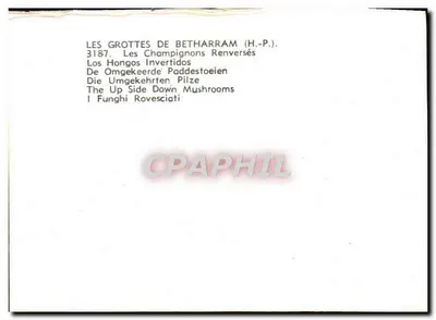 Jaskinie Betharram — Odwrócone grzyby — Jove — Rewers