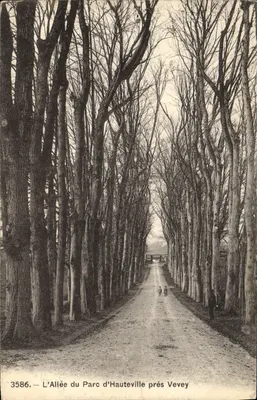 A Avenida do Parque de Hauteville perto de Vevey — Fototipia Co. Nauchâtel, n° 3586