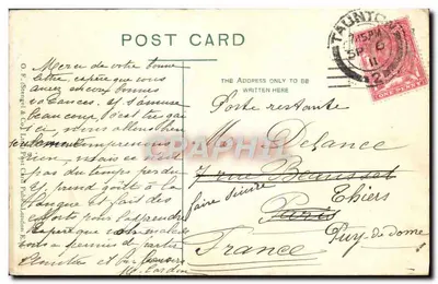 Taunton z French Weir — panoramiczny widok z kościołem i bydłem — wydawca O.E. Stringfellow & Co. Ltd. — Rewers