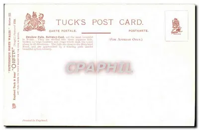 Spadzistki Swallow, Bettws-y-Coed — kartka pocztowa Tuck'a, seria III — Rewers