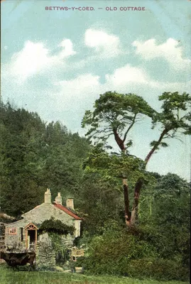 Bettws-y-Coed — Velho Casebre — editor L.P. & F. A.P. Llandrindod Wells, n°234