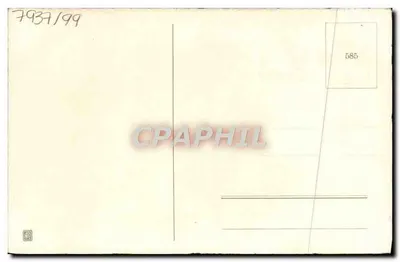 Arranjo de crisântemos — Boa Ano — editor não identificado, n° de série 585 — Verso