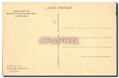 Bilhete postal antigo Aquário do Museu Oceanográfico de Mônaco Seiche — Verso