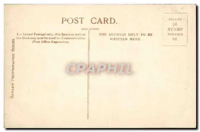 Savino Room, Leam, Netherhay, Cambridgeshire — Série Fotográfica Rotary — Verso