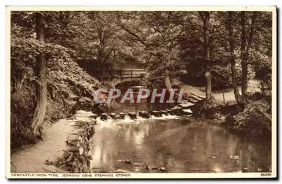 Newcastle-upon-Tyne, Jesmond Dene Stepping Stones — Photochrom, n° 66498
