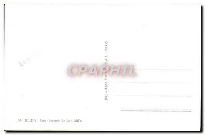 Las Gorges de la Chiffa — BLIDA — editor C.A.P. PARIS — Reverso