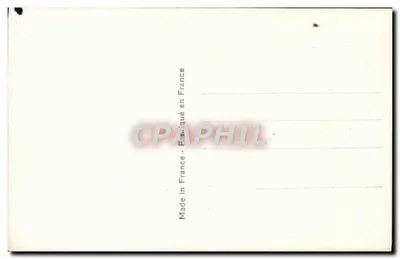 Róże — Urodziny — Carmen, nr 203 — Rewers