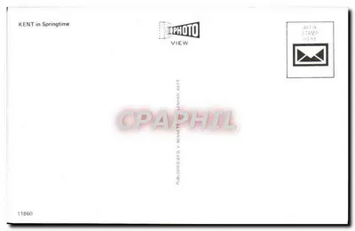 Cipolle di Kent — Vista primaverile — n°11860 — Verso