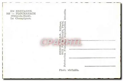 Gryzli — P loumanach — Greff — Rewers