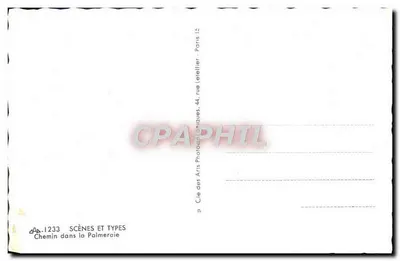 Caminho na Palmeraie — Editor: Cie des Arts Photographiques, Paris — Verso