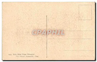 Pisa - Il Duomo - Facciata principale — Édition Primo Chiappini, n° 2459 — Verso