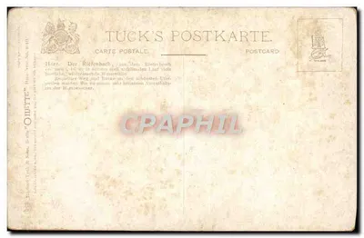Harzburger Riefenbach — wodospad i most w jesieni — Tuck's Postkarte, n° 3101 — Rewers