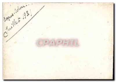 Zebry i krowy w parku — wydawca nieznany, numer serii nieczytelny — Rewers