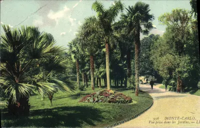 Monte-Carlo — Widok z ogrodu — LL 956