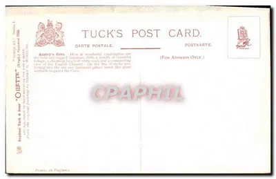 Anstey's Cove — Torquay, Devon — Karta pocztowa Tuck'a, seria L, nr 7386 — Rewers