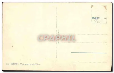 Nice — Vue entre les Pins — J. Gilletta, n°104 — Rewers