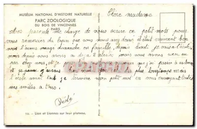 Leão e Leões em seu platô — Muséum national d'Histoire naturelle, Parc zoologique du Bois de Vincennes, Paris — n° 153 — Verso