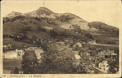 Château-d'Oex — Les Bossons — éditeur Decaey Phot.-Edit. Leysin, n°149