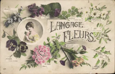 Bilhete postal antigo Linguagem das Flores Mulher