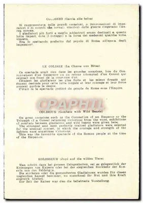 Roma - Colosseo (Caccia alle belve) — scène de chasse aux bêtes — éditeur CPAPHIL — Verso