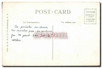 Cabeça de Elefante, Ausable Chasm, N.Y. — vista de falésias estratificadas — Publicado por W. B. J. D. Co. Plattsburg, N.Y. — Verso