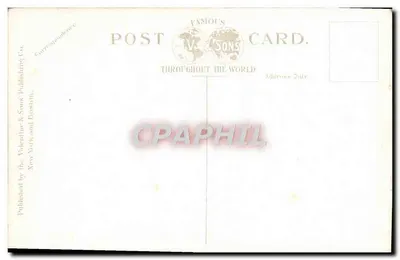 Hendrick Hudson — Hudson River Day Line Steamer w Poughkeepsie, N.Y. — V. & Sons, n° 206,266 — Rewers
