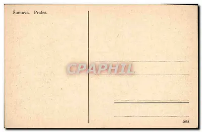 Las Šumava — Prales — 2053 — Rewers