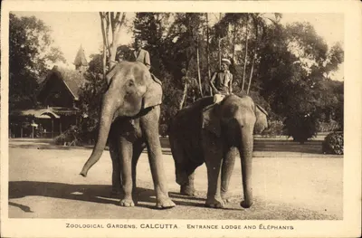 Zoological Gardens, Calcutta — Entrance Lodge e Elefantes — Edição P. G. Bécard, Paris