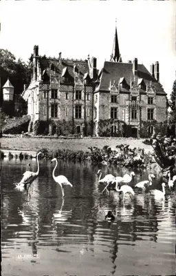 Castelo de Cleres — Flamencos Rosa — Edições La Cigogne