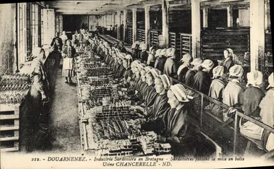 Douarnenez — Industrie Sardinière en Bretagne — Usine CHANCERELLE - ND.