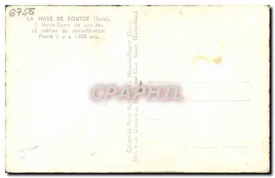 La Haye-de-Routot — Najświętsza Maryja Panny z Lourdes — drzewo o obwodzie 12 metrów, posadzone 1800 lat temu — Rewers