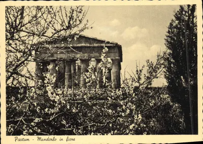 Paestum — Mandorlo in fiore — wydawca Eugenio Salsano, Como