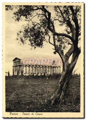 Pæstum — Tempio di Cerere — wydawca Eugenio Salsano, Como